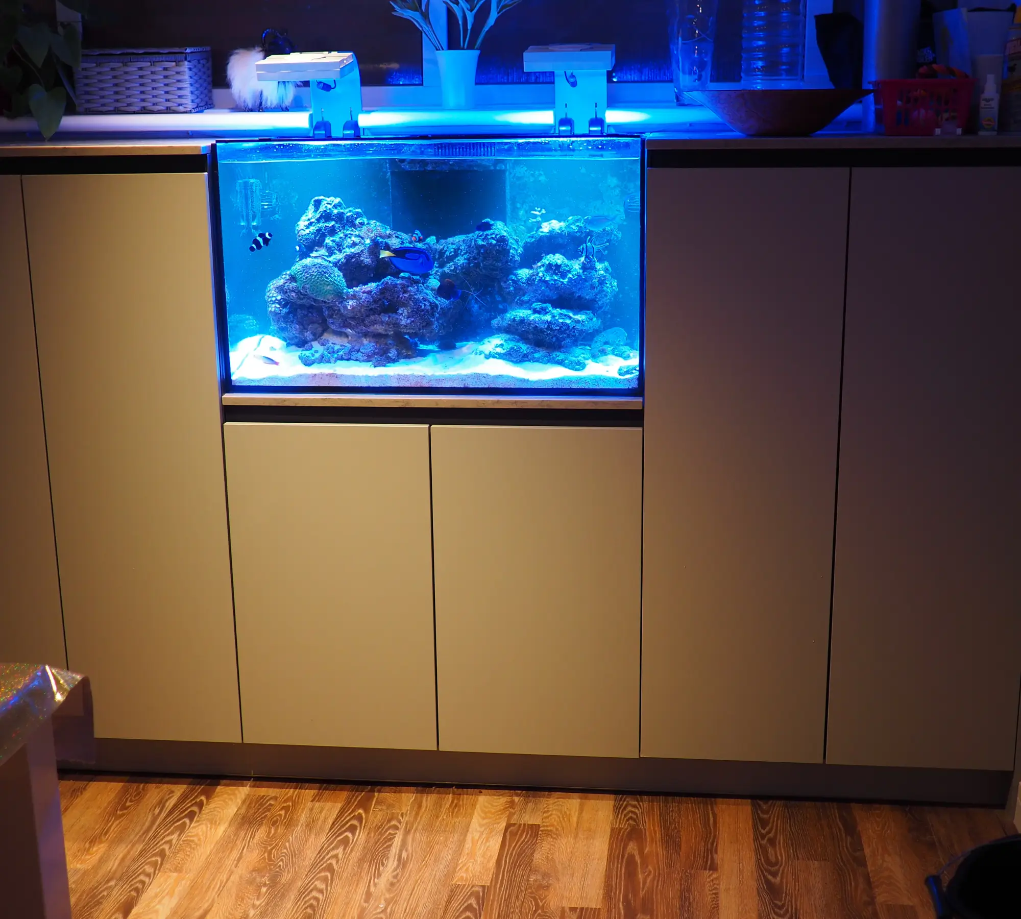 kitchen Project 4