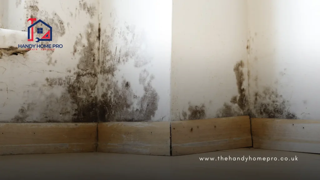 Rising damp is caused by groundwater travelling